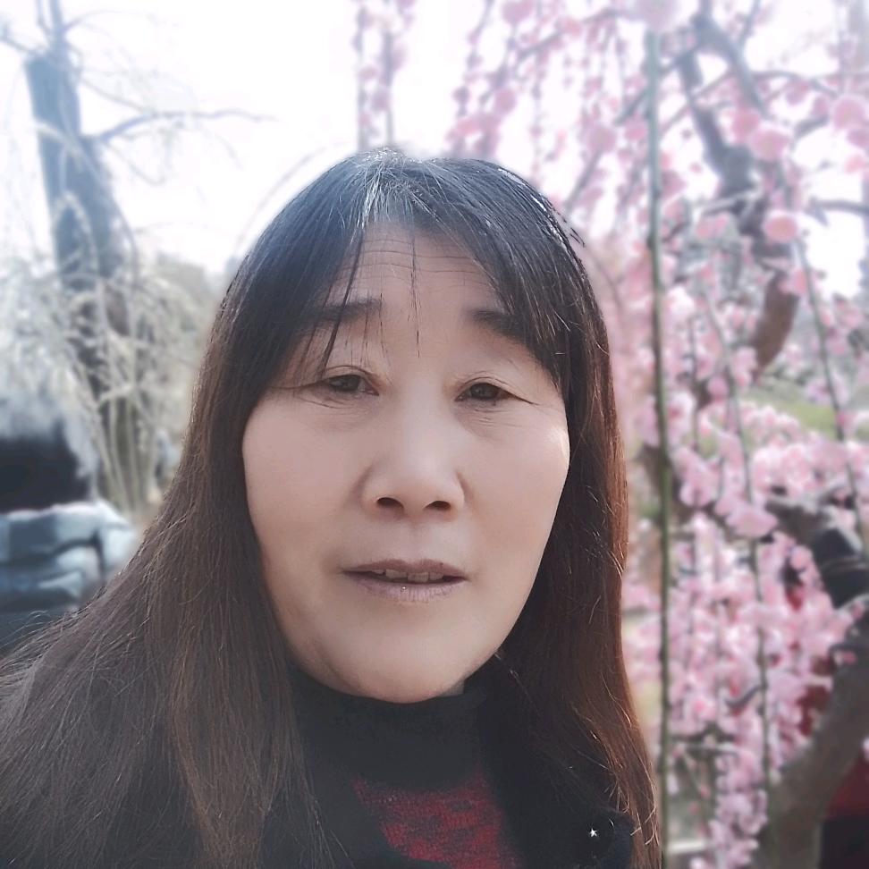 红姐