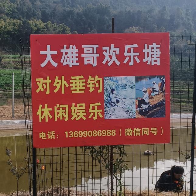 大雄哥🐻
