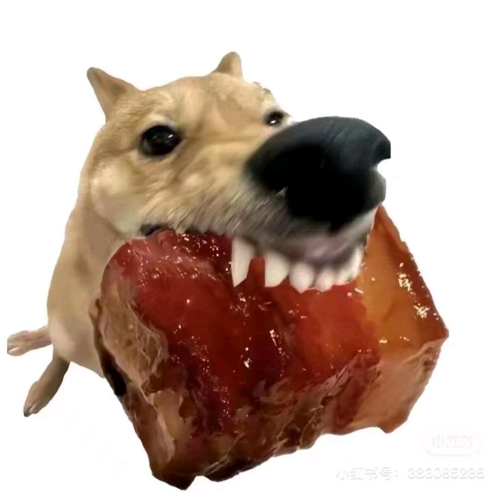 遗忘