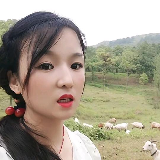 放羊妹