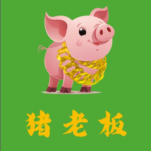 宝祥  猪板娘