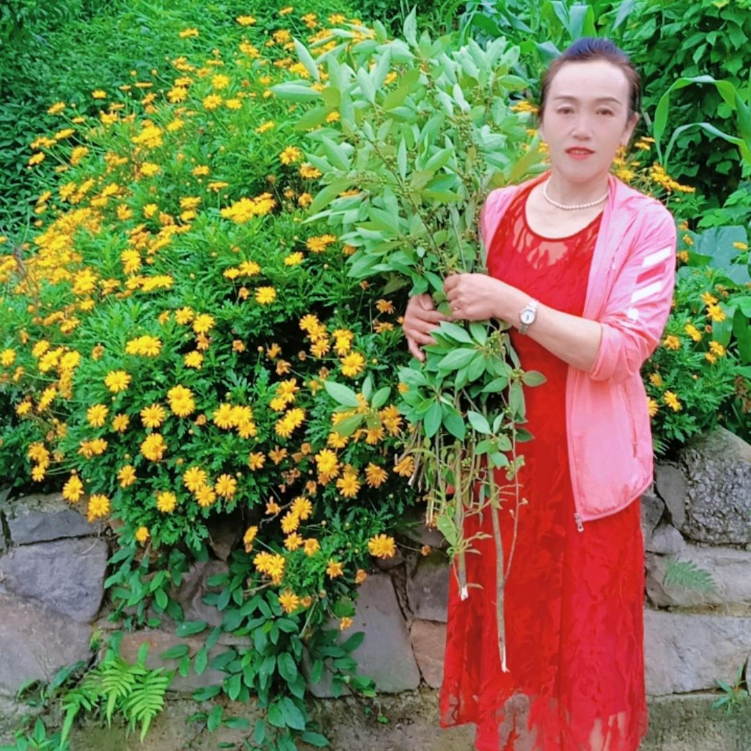兰天～