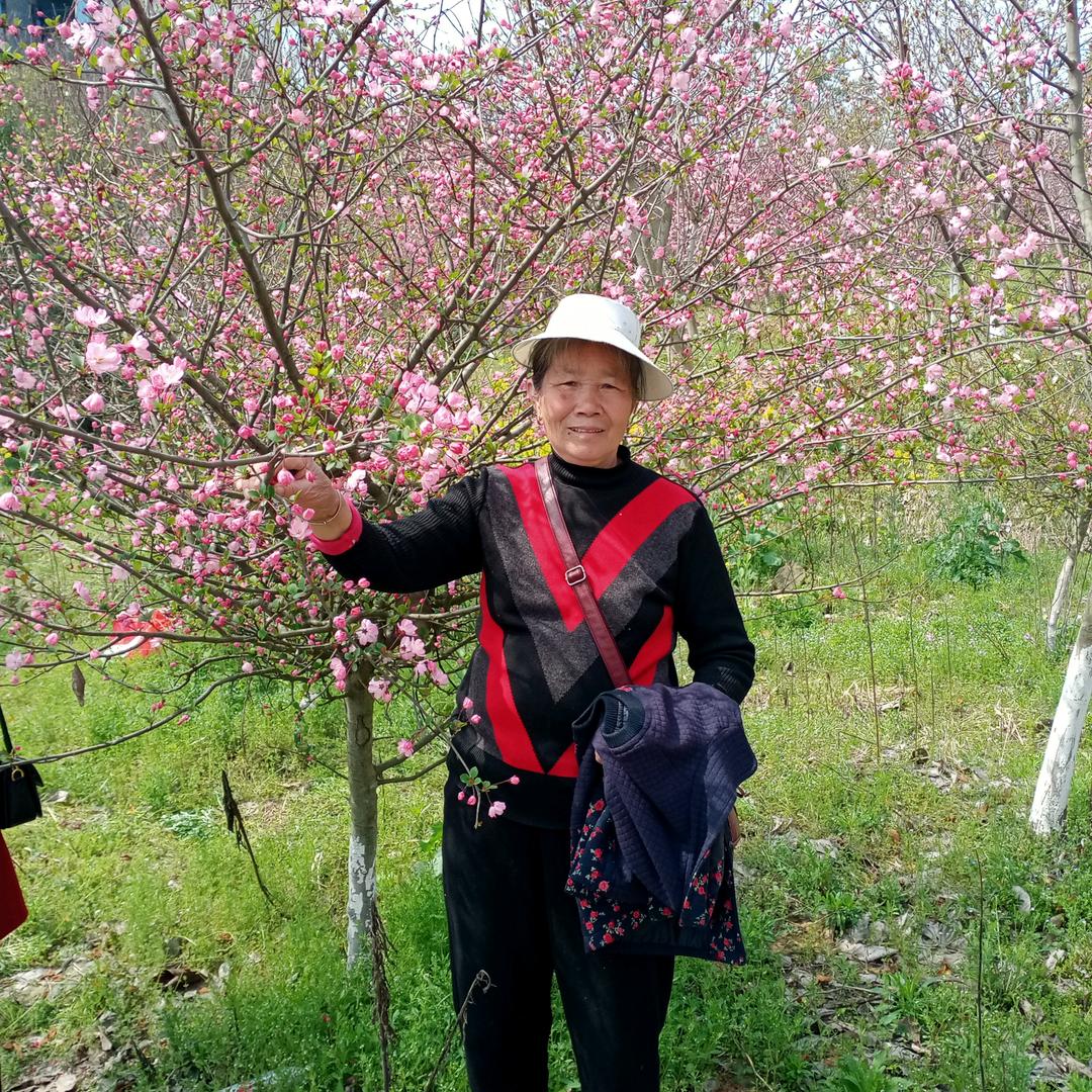 祥梅来了51年4月兔