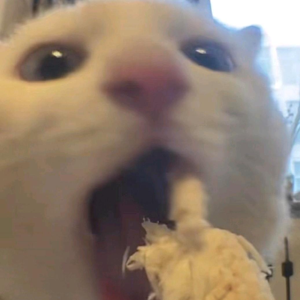 姒