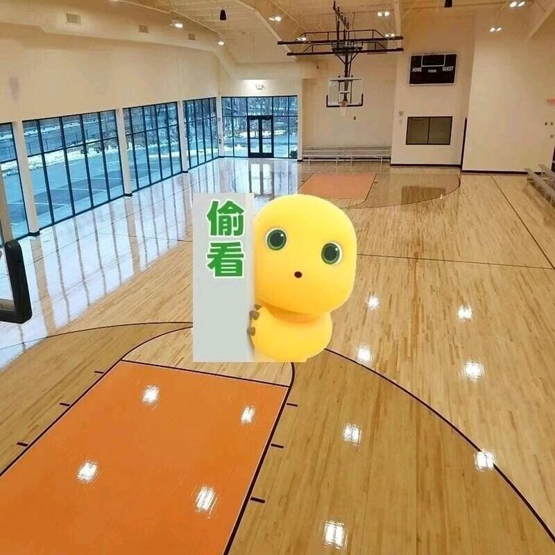 运动木地板厂家—恒星美特品牌