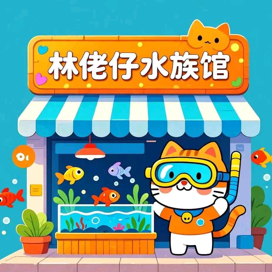 林佬仔♥海口水族馆（观赏鱼、鱼缸）