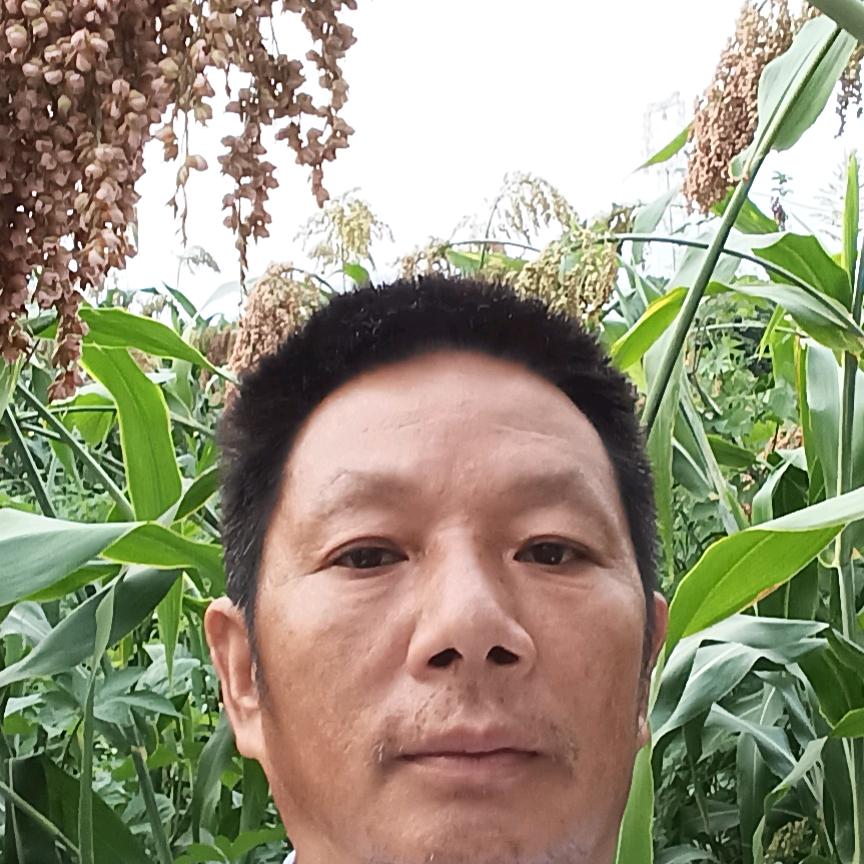大唐新天地