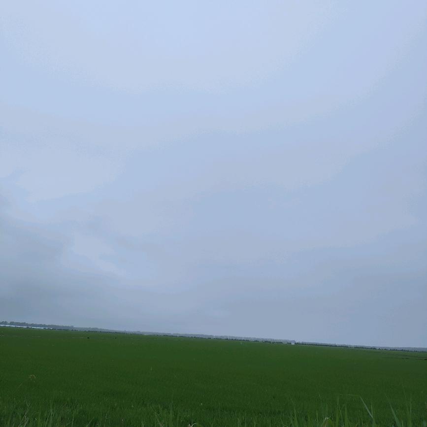 楠姐