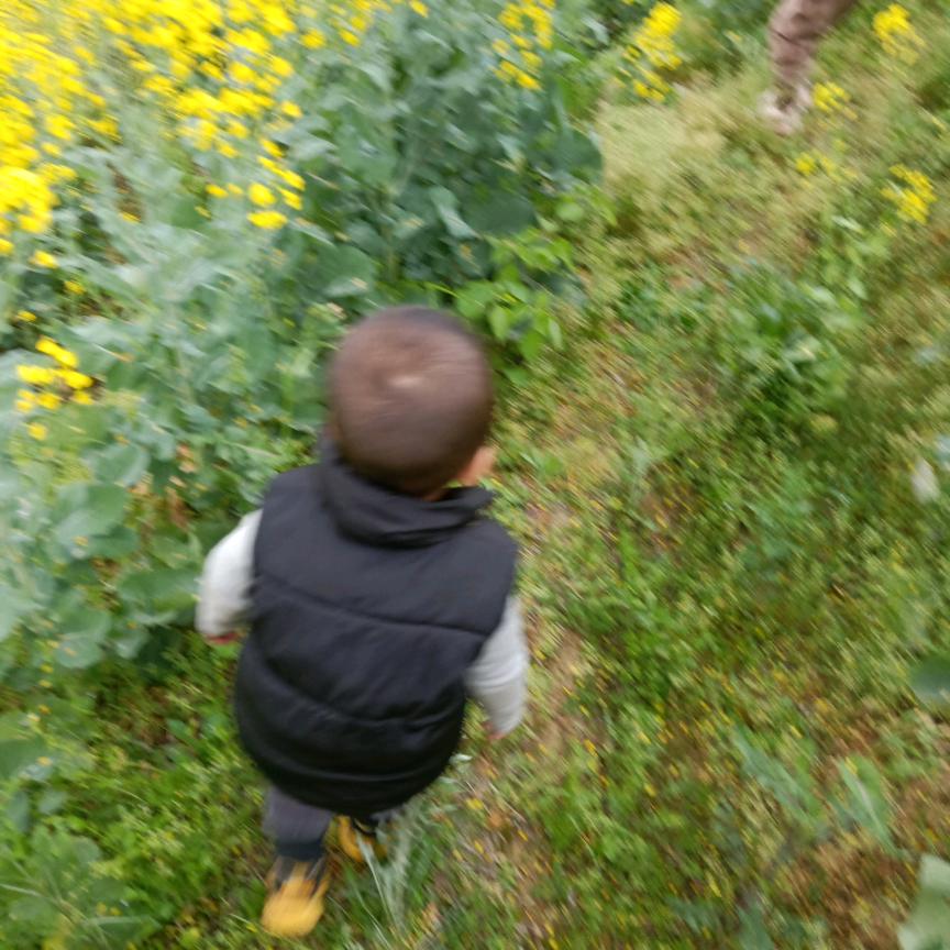 邓大哥