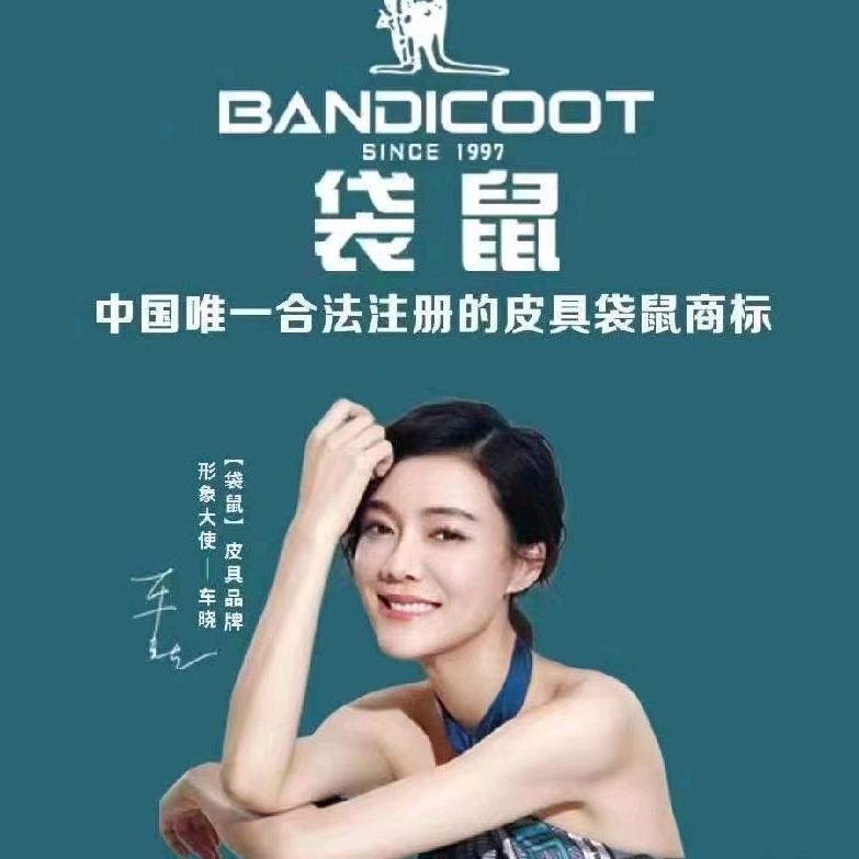 彬州袋鼠皮具