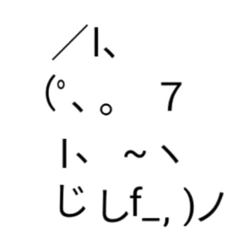 躺平的缅因猫