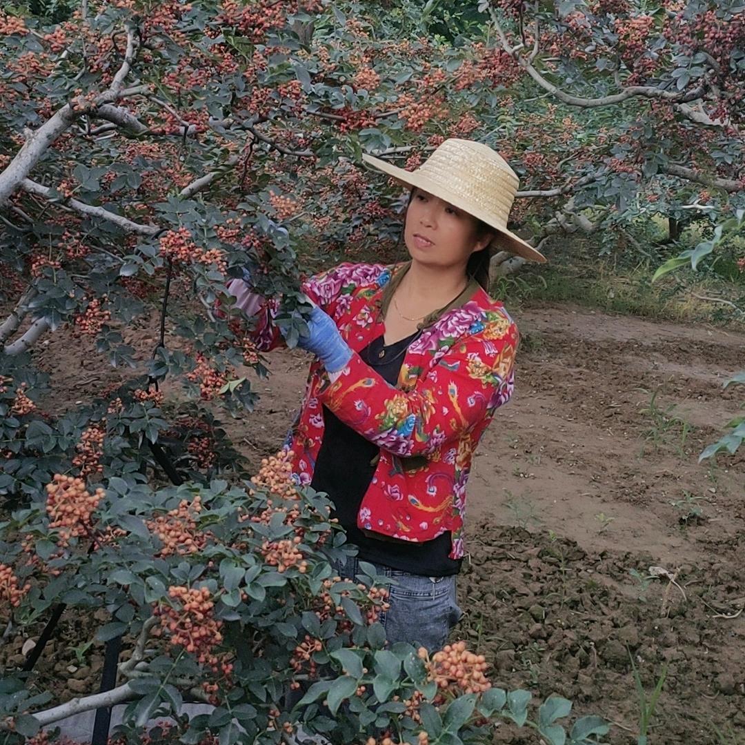 富平花花姐