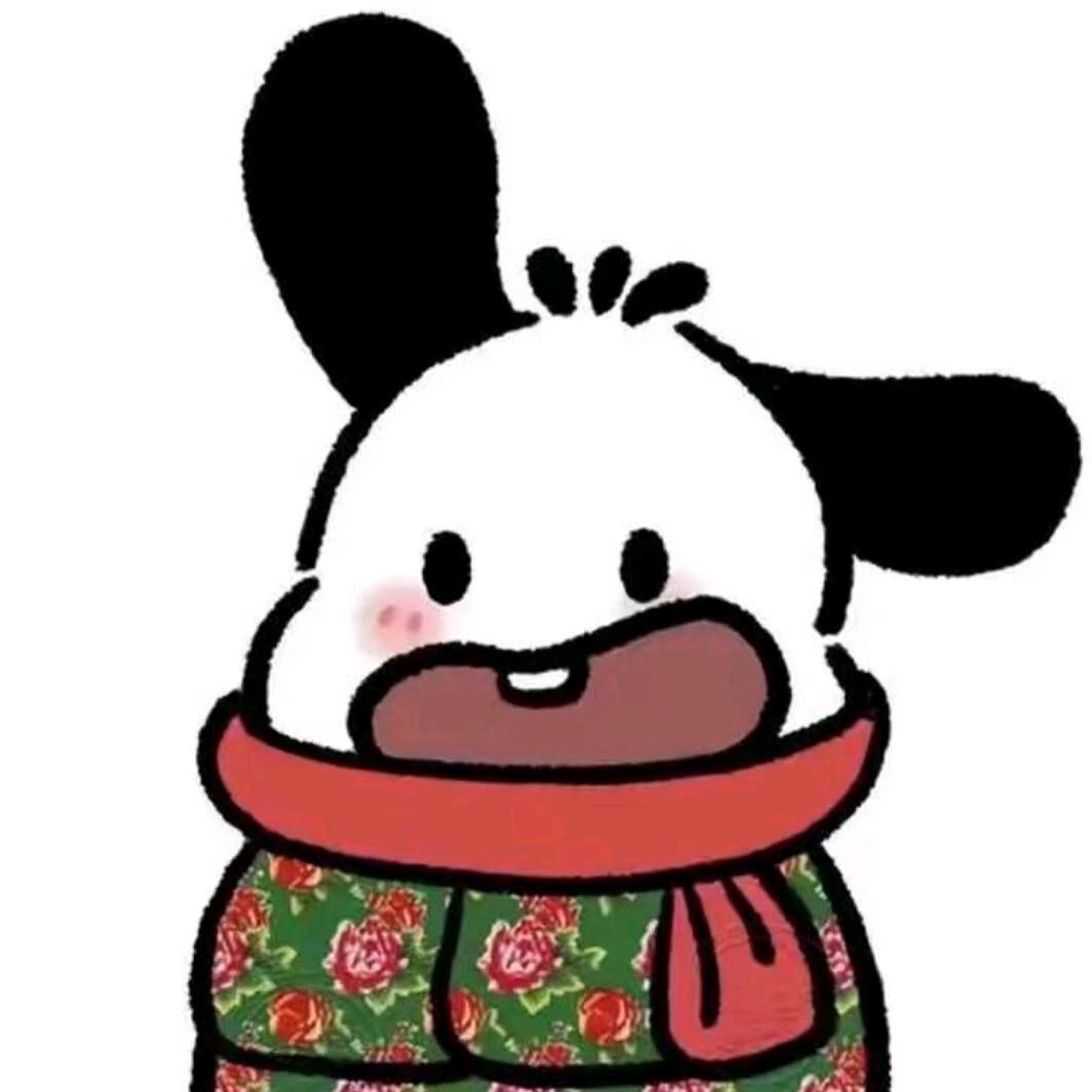 怪盗啥也不会头像