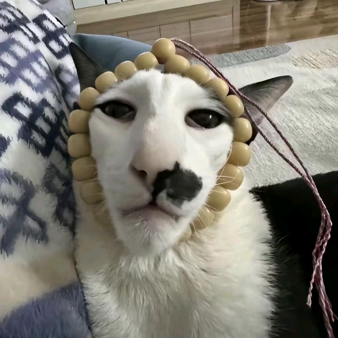 大家不要看柜子动漫！头像