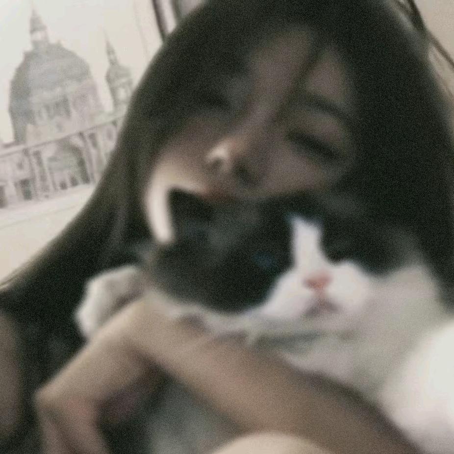 小兰宝💕