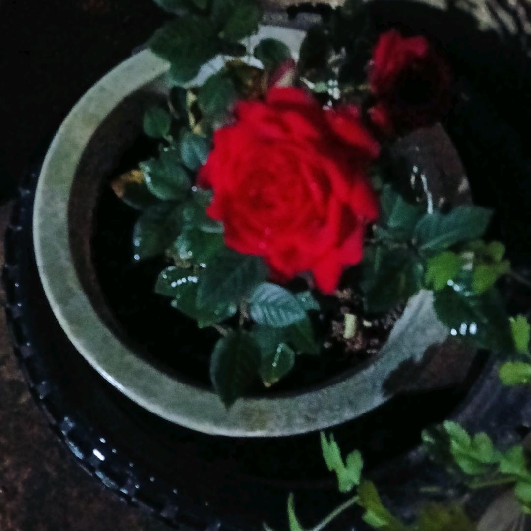 一切随缘🌹🍁💐🌺