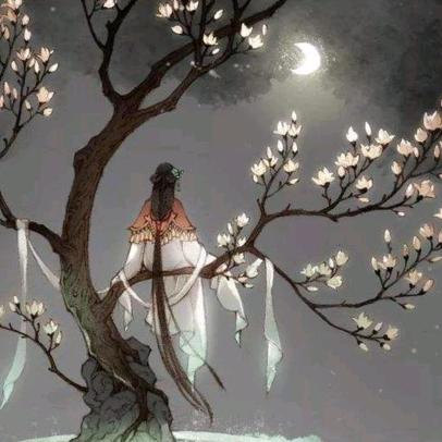 起梨花月