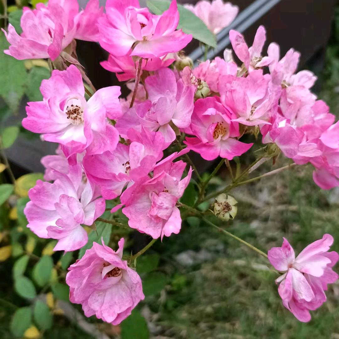 好人一生平安。