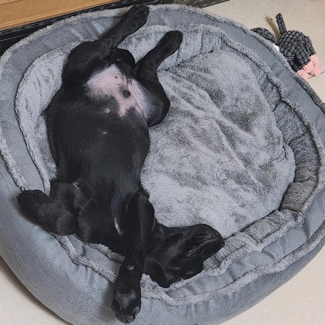 明骚易躲，暗贱难防