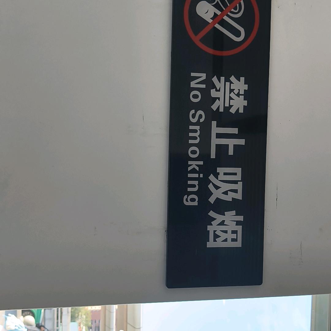 小小鸟