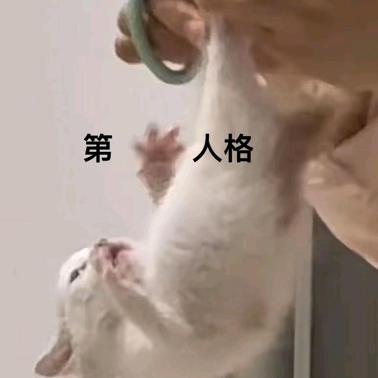 卤菜不是真的菜