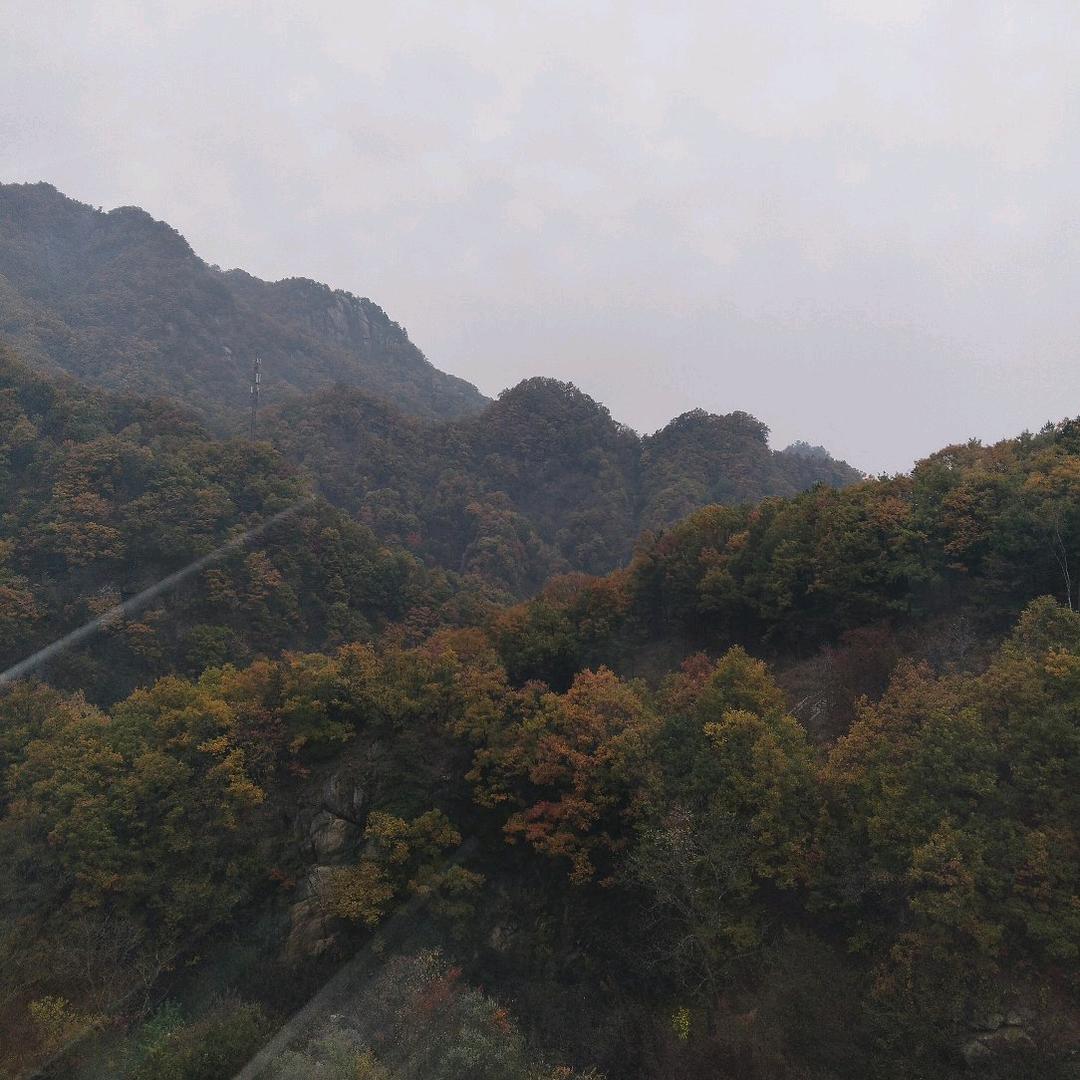 匆匆那年