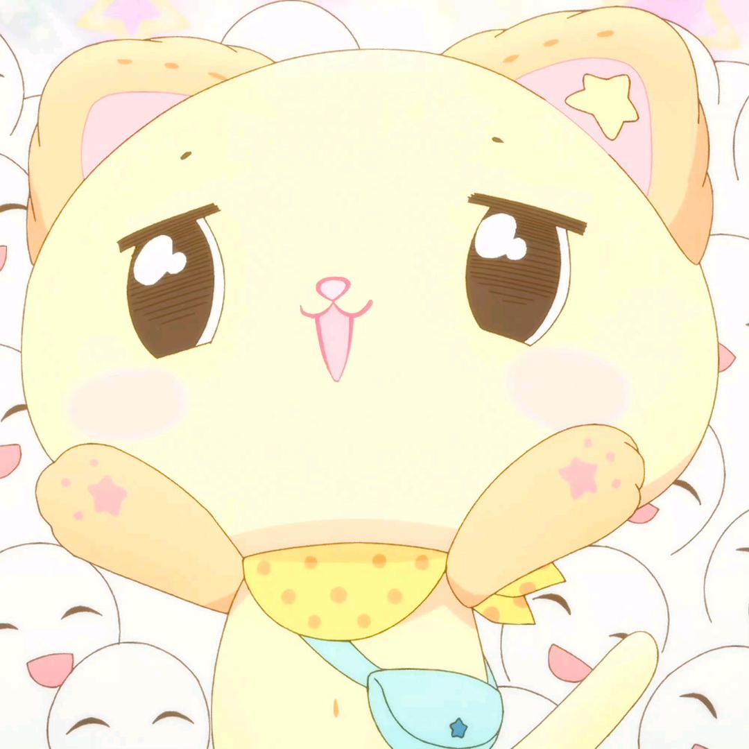 芝士猫猫