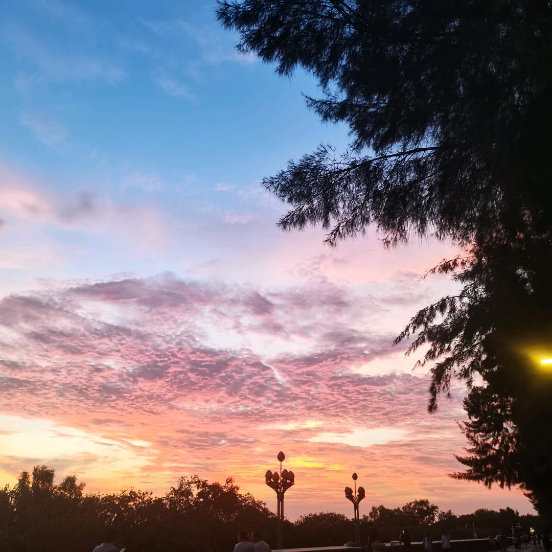 夜跑的小刘