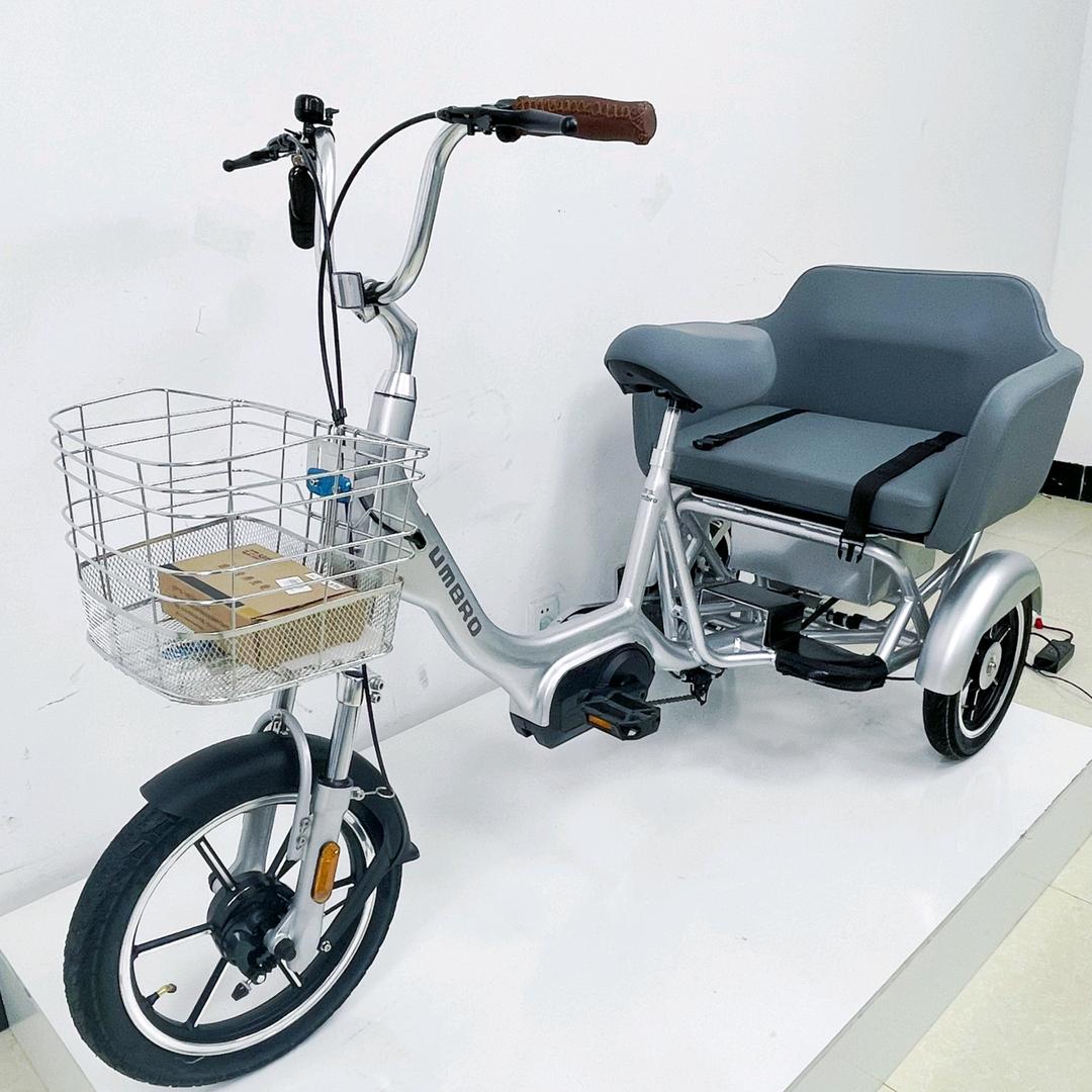 茵宝高端老人助力三轮车