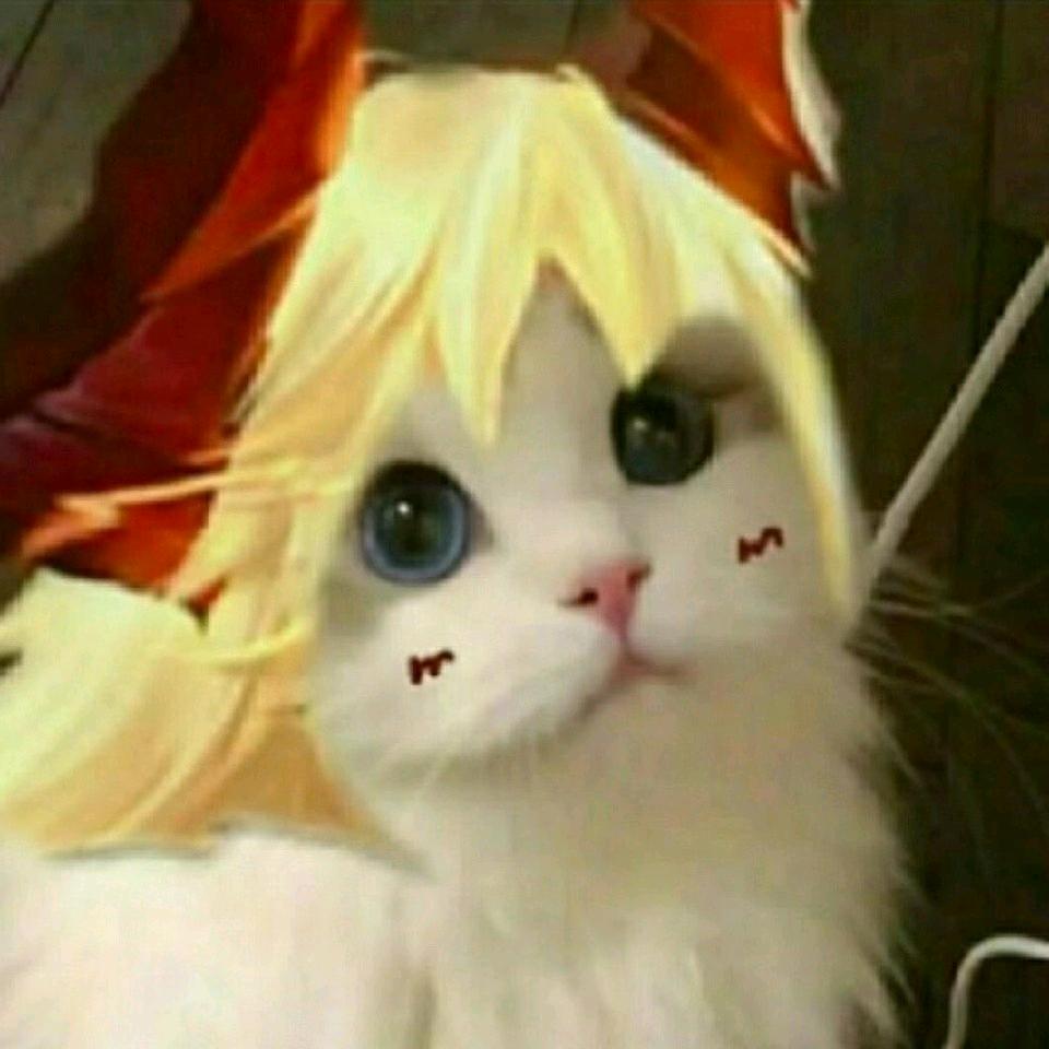一颗生姜