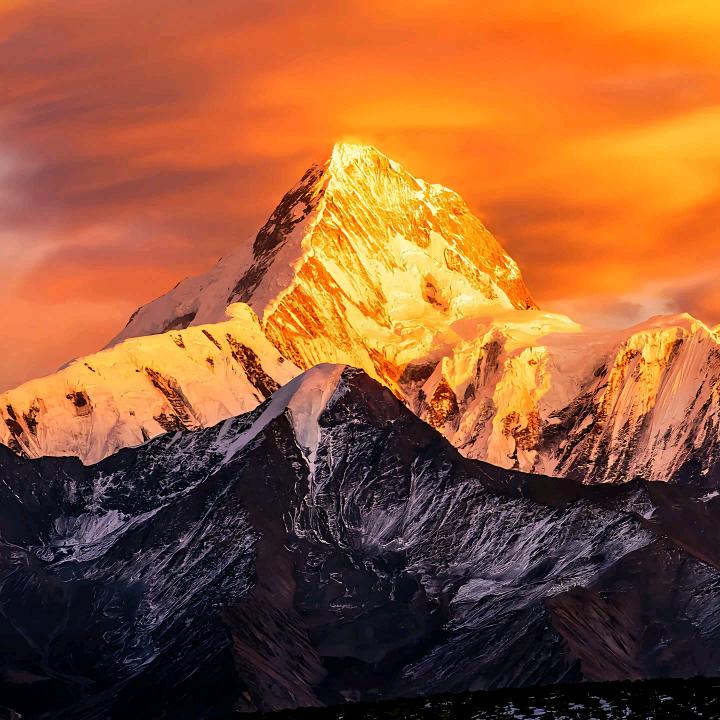 江苏丰稔泰农业有限公司1