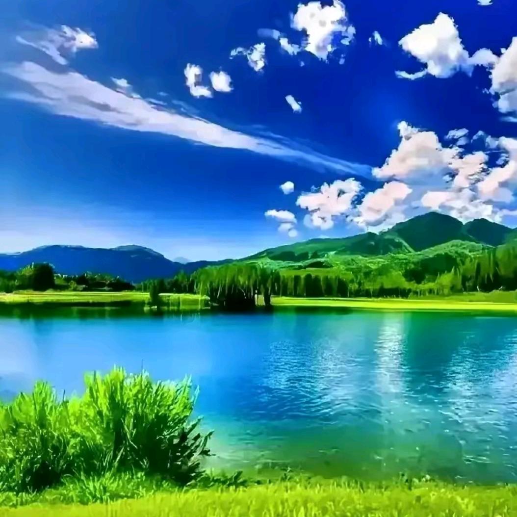 云光