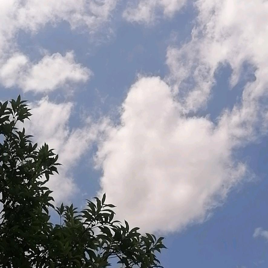 份在人伪