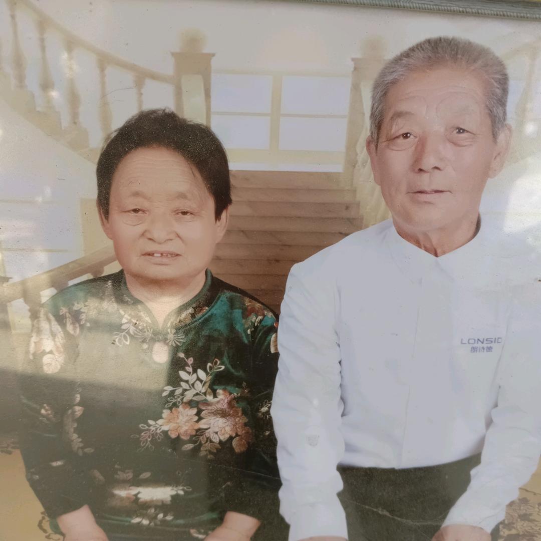 陈秀枝