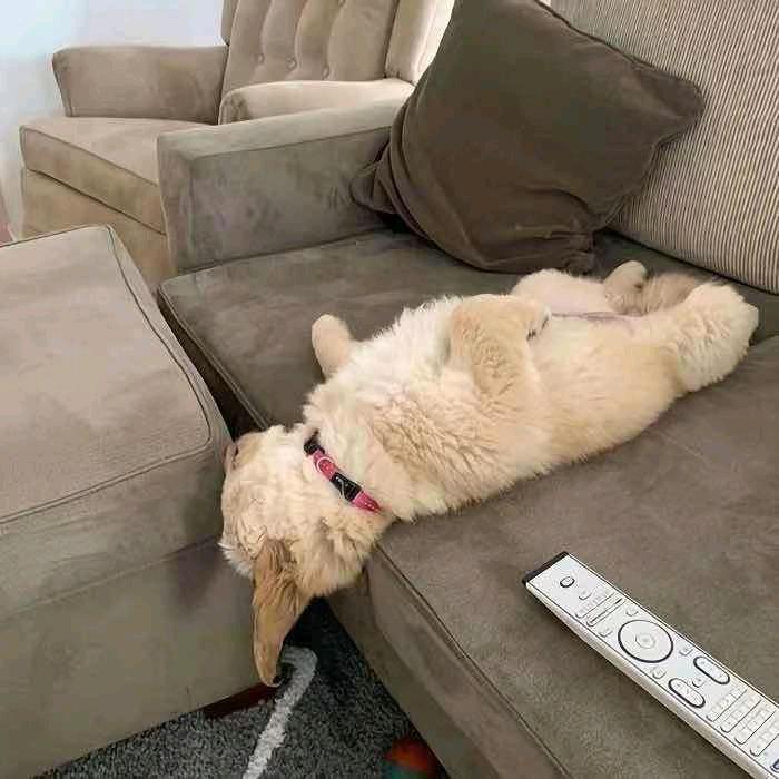 我是你爹