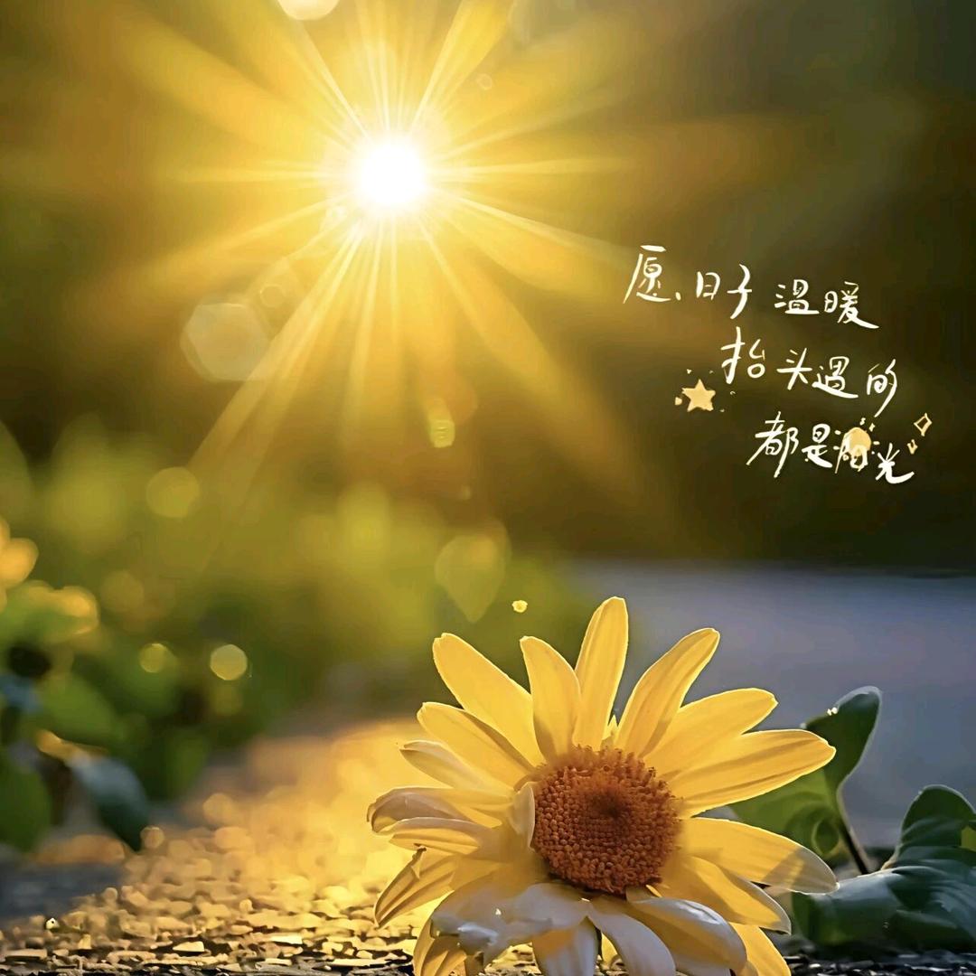 曼姐