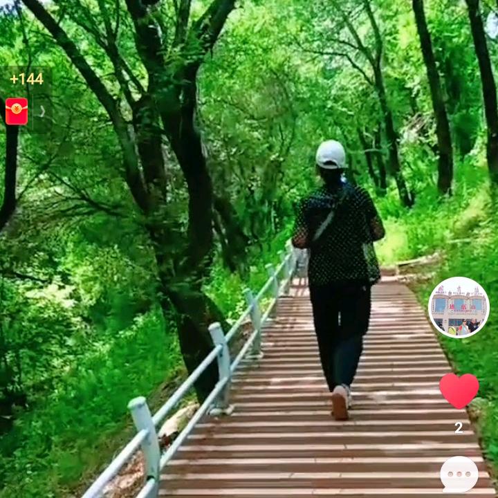 贴心伴侣小摩托