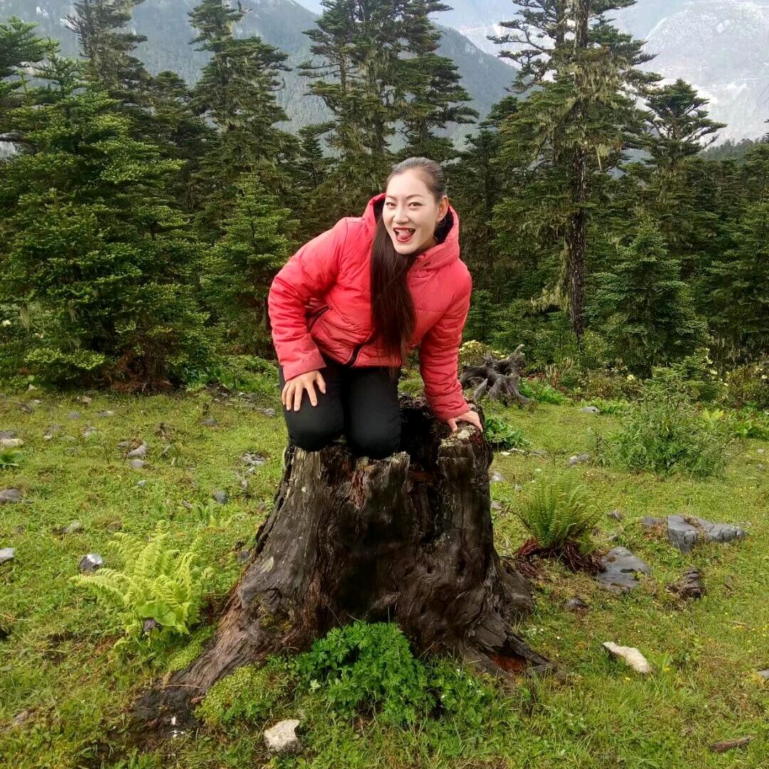 壹品藏香猪养殖基地