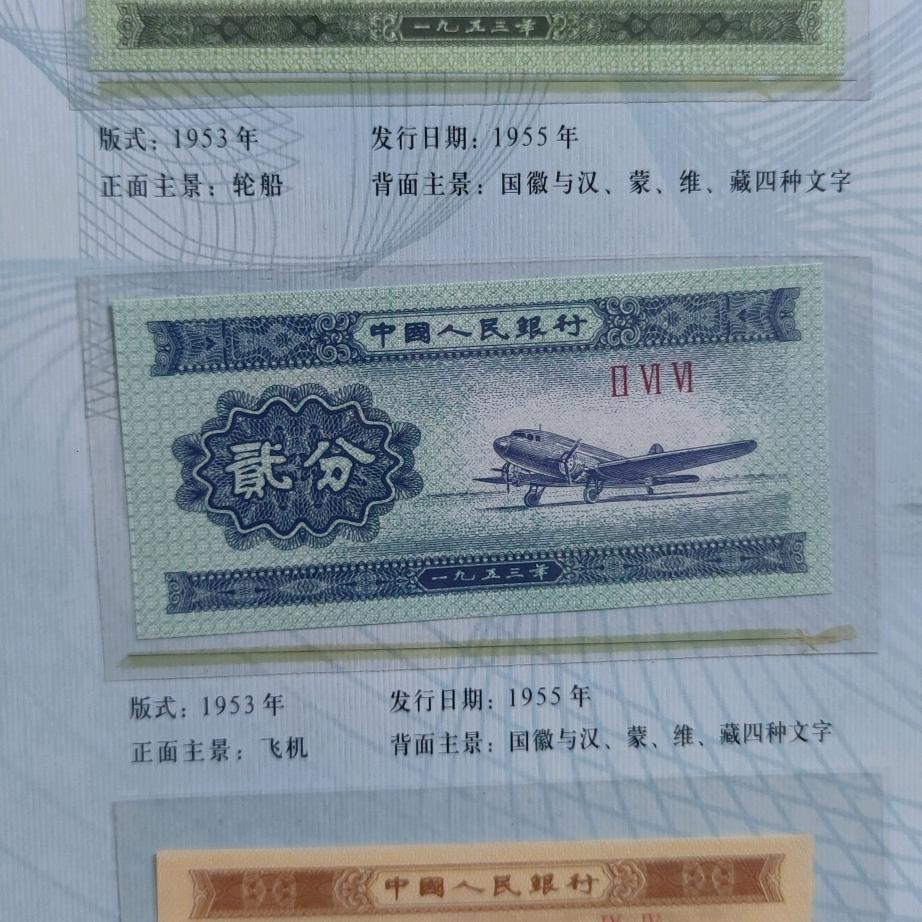 种子