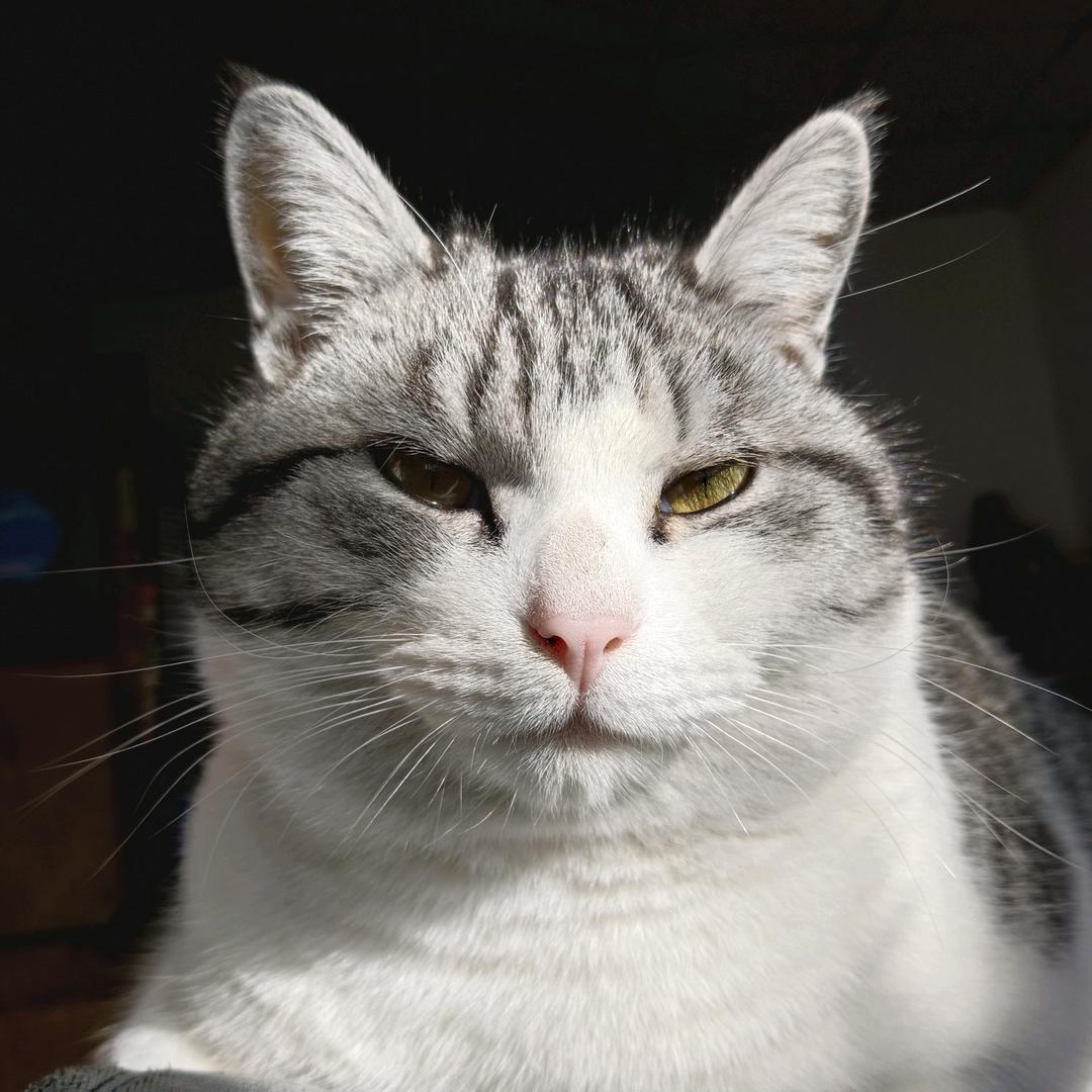 老张头儿的抖音