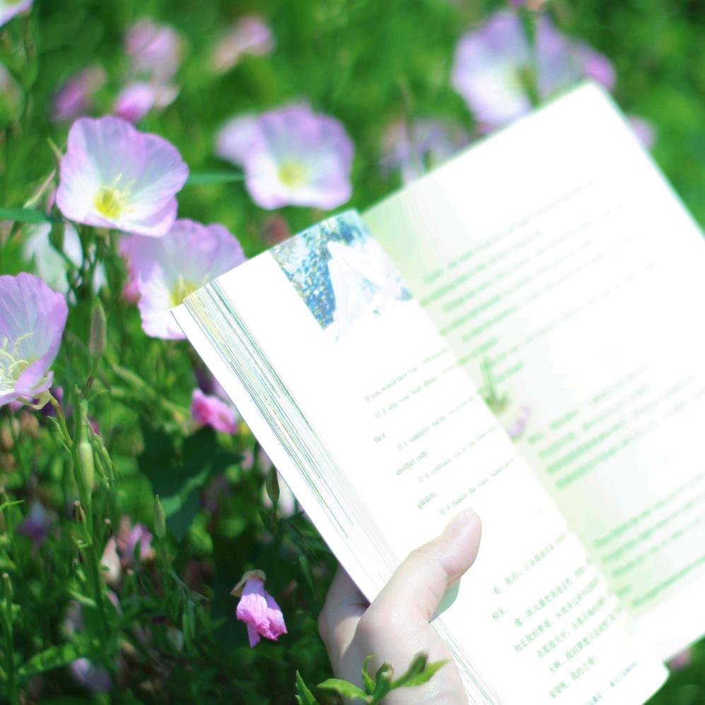 邮寄一颗草莓（日常版）