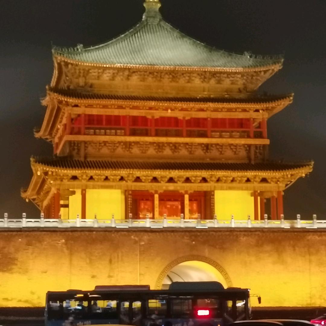 开心果🍀🍀🍀