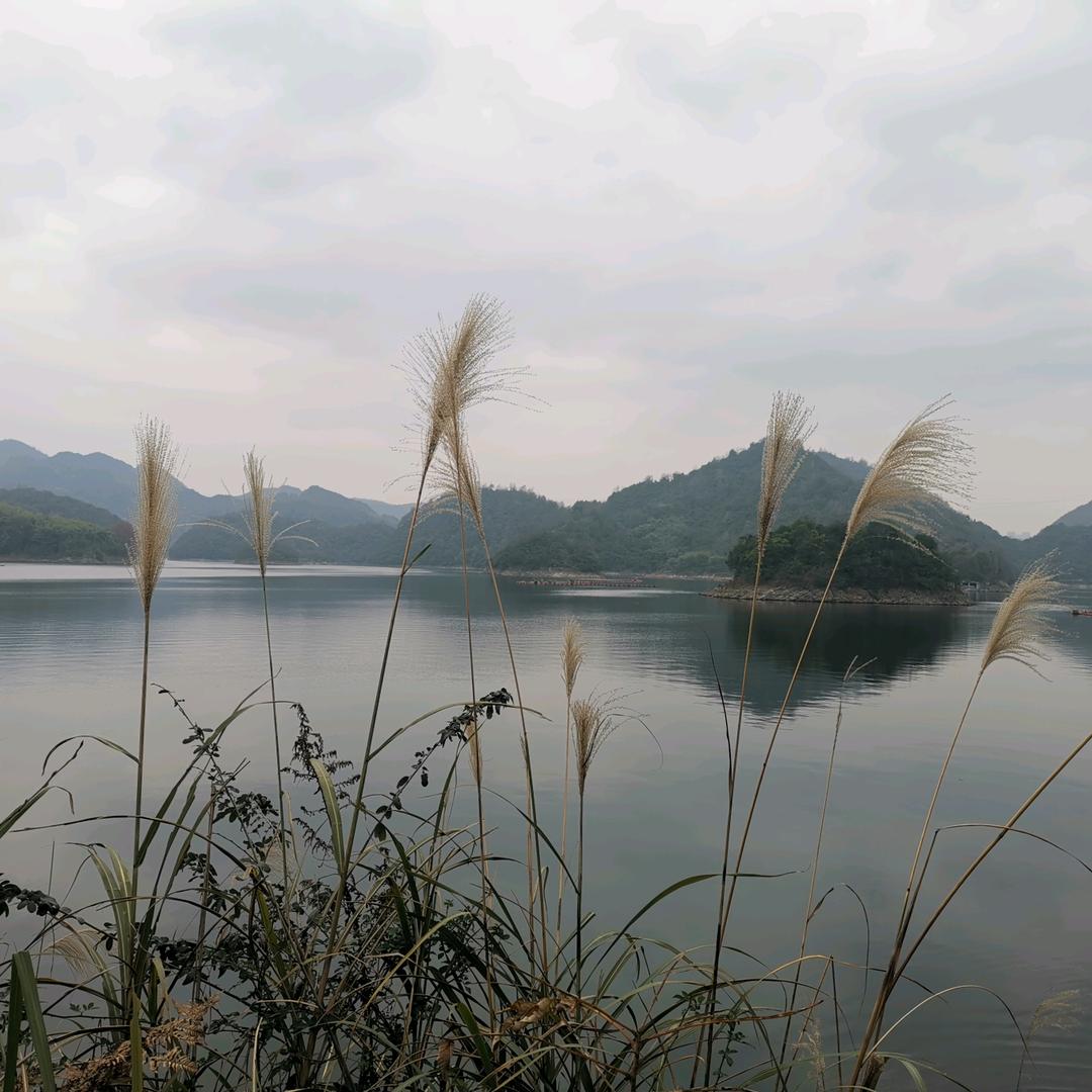 美食侦探（西东先生）