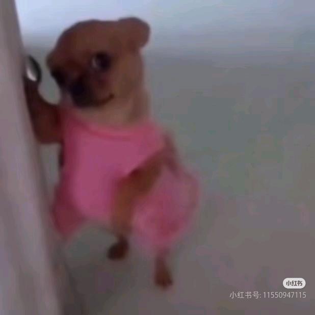 求了别让我踩坑