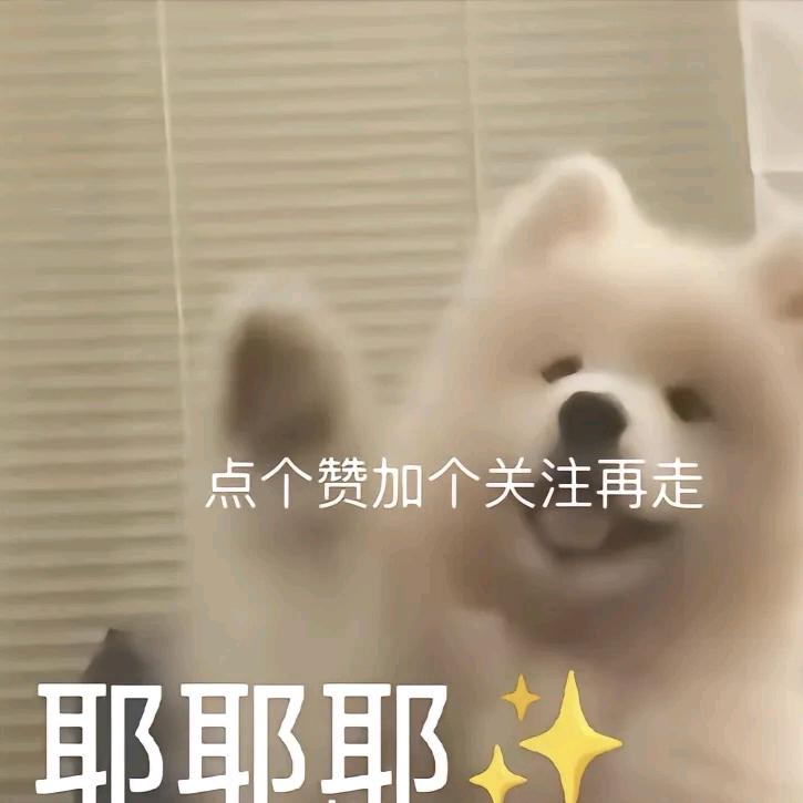 三更半夜 念念回响