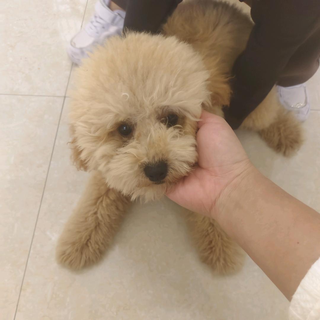 你