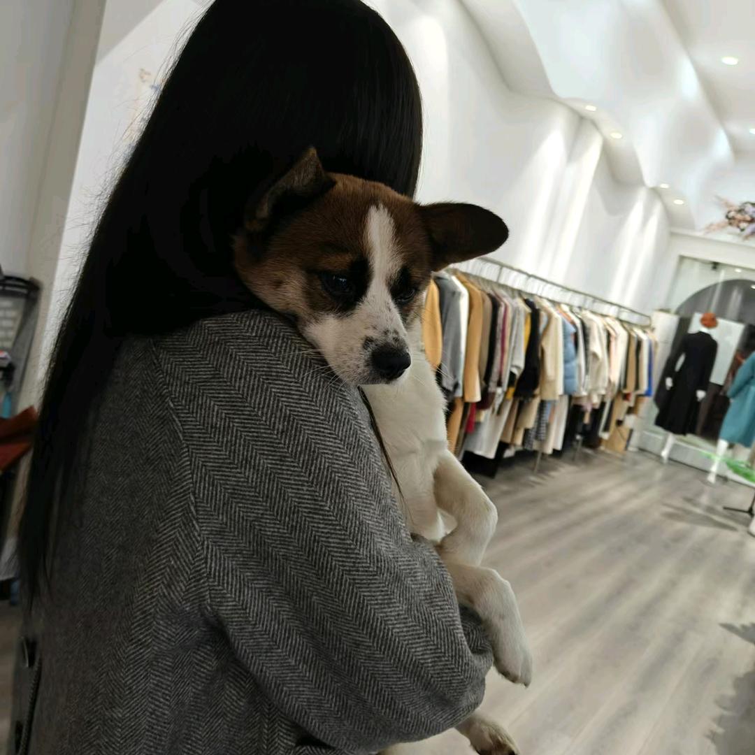 美人阁服饰-----如月