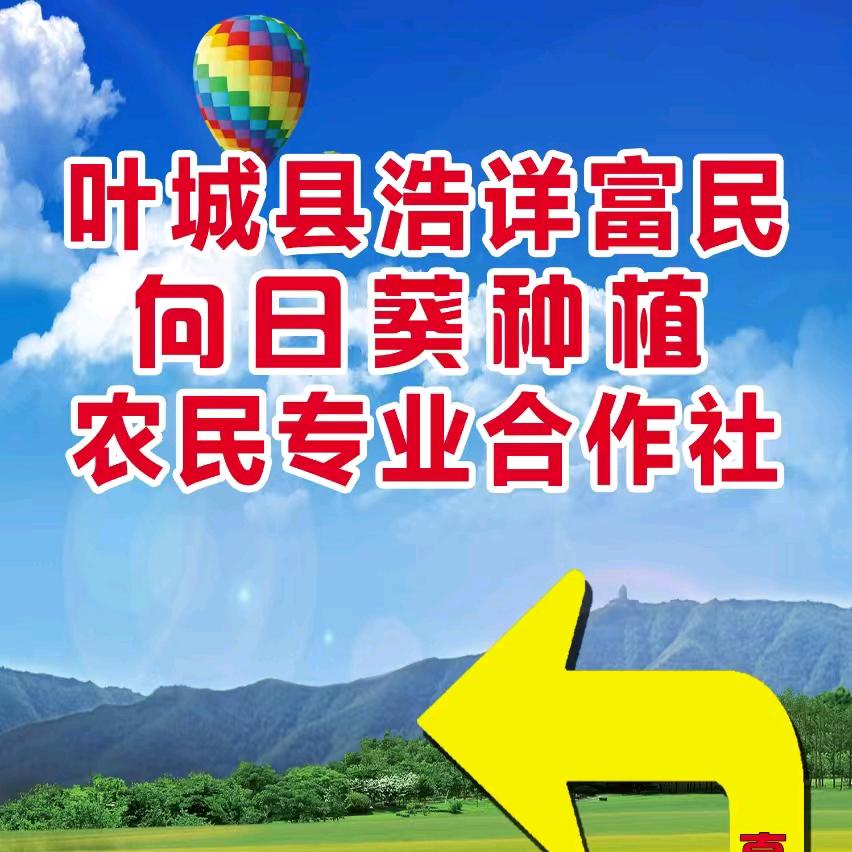 葵花哥
