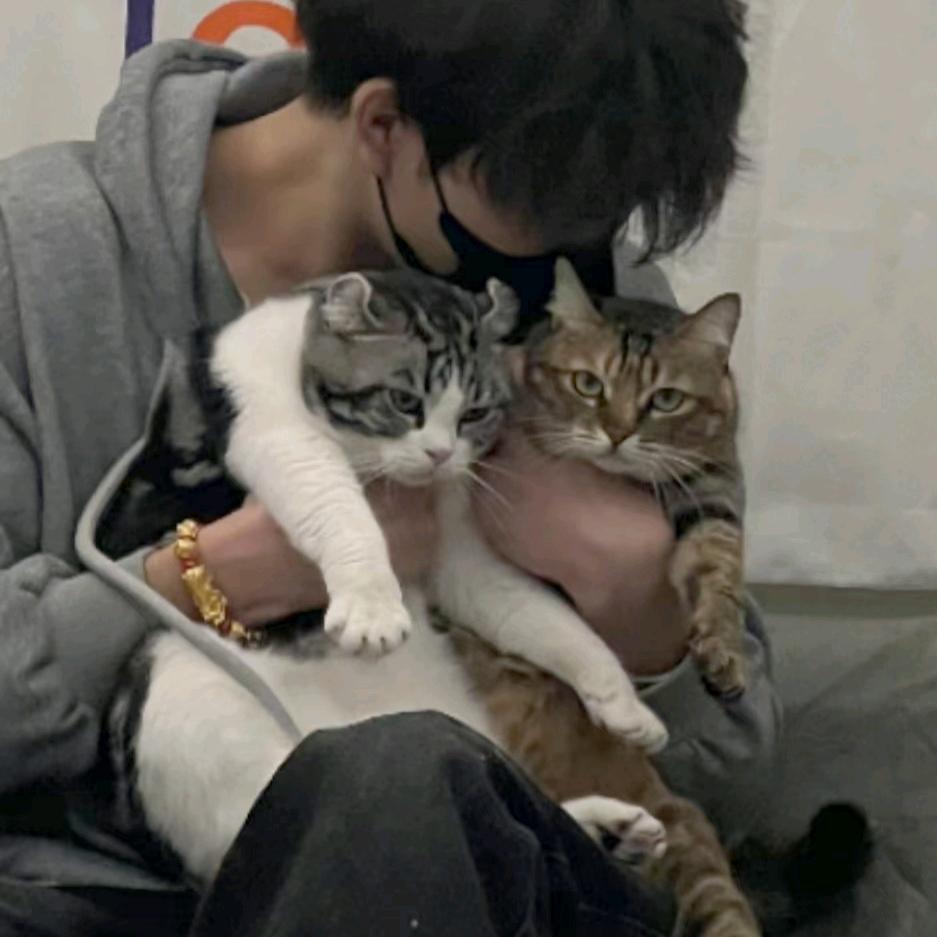 哑巴吴老板（上门洗猫版）