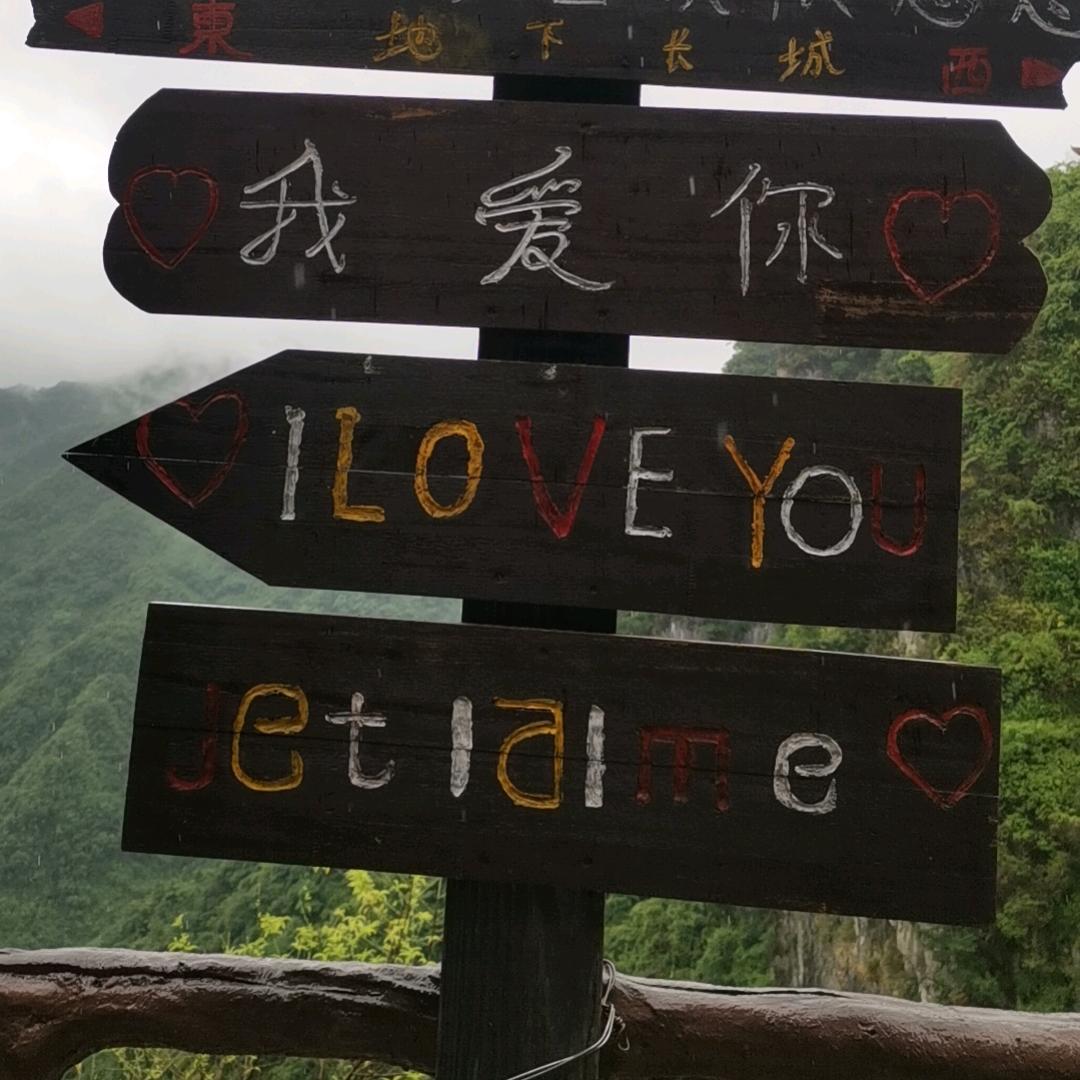 🈚️所谓